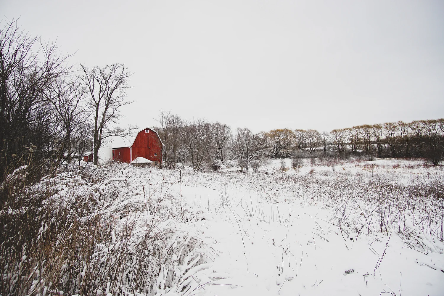 Appleton Coated Landfill