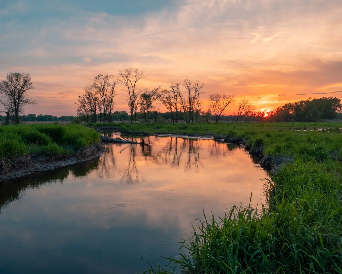 Wetland
